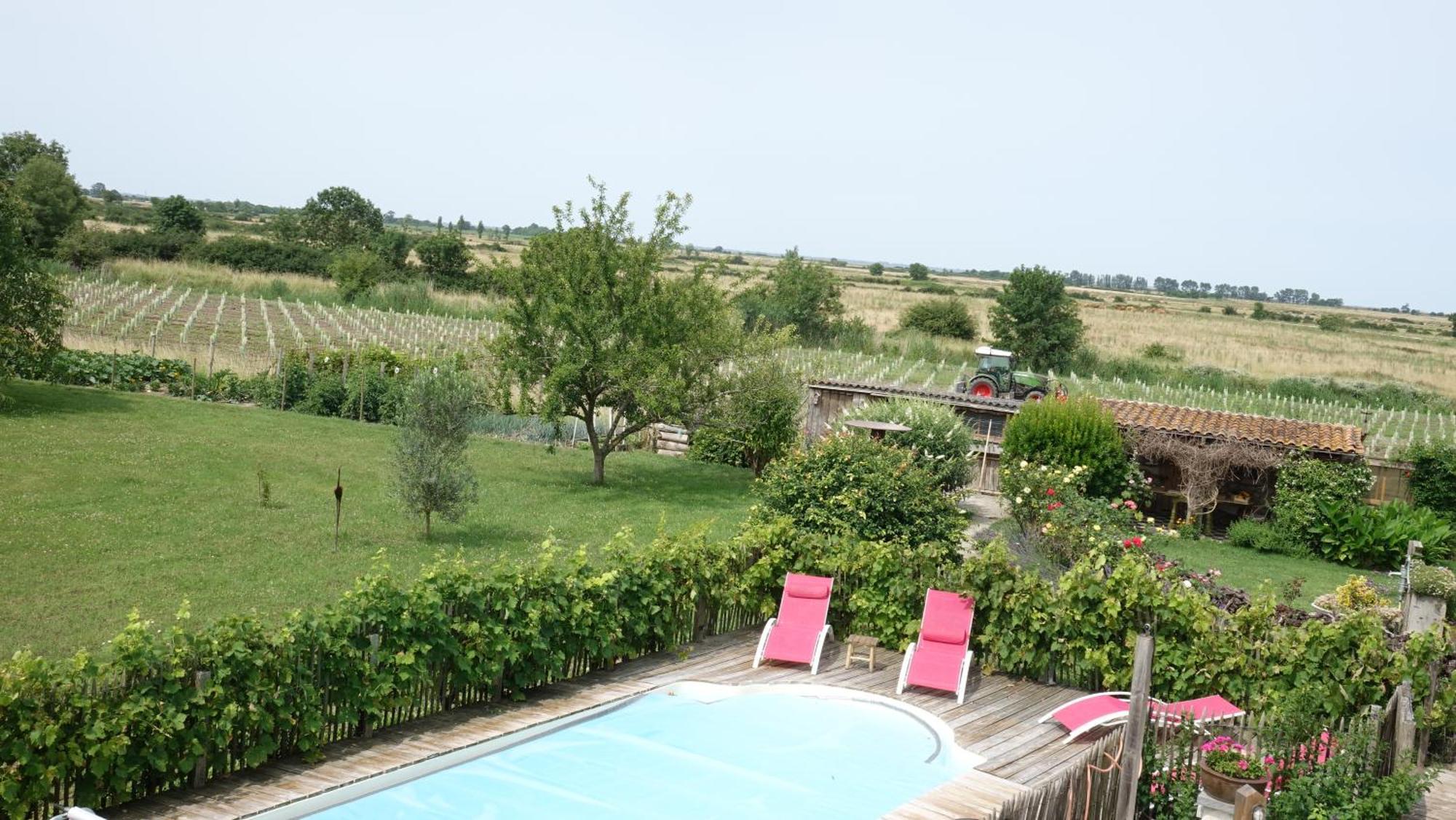 Demeure D'Alienor Villa Saint-Thomas-de-Conac Ngoại thất bức ảnh